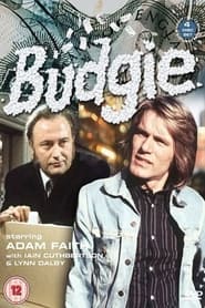 Budgie' Poster