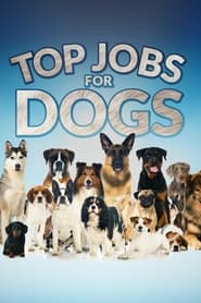 Streaming sources forTop Jobs for Dogs