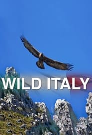 Wild Italy' Poster