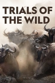 Trials of the Wild' Poster