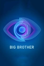 Big Brother' Poster