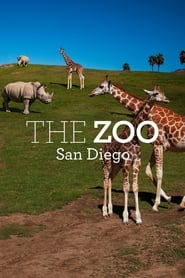 The Zoo San Diego' Poster