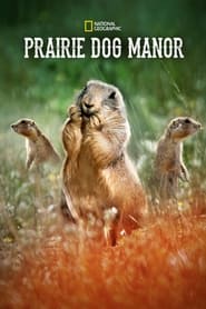 Prairie Dog Manor' Poster