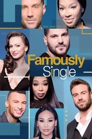 Famously Single' Poster