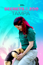 Secrets of the Zoo Tampa' Poster