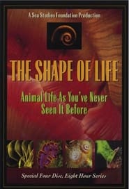 The Shape of Life' Poster