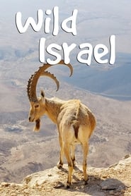 Wild Israel' Poster