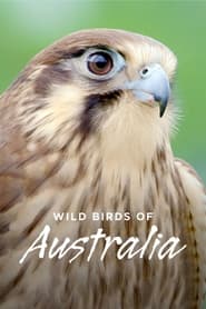 Wild Birds of Australia' Poster