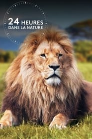 Wild 24' Poster
