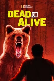 Dead or Alive' Poster