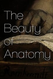 The Beauty of Anatomy' Poster