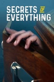 The Secrets of Everything' Poster