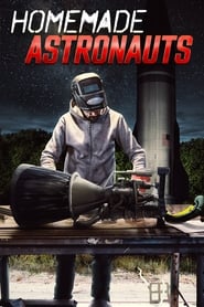 Homemade Astronauts' Poster