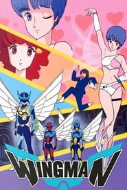Dream Fighter Wingman' Poster