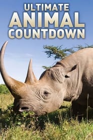 Ultimate Animal Countdown' Poster