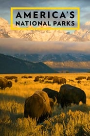 Americas National Parks' Poster