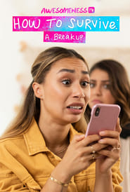 How to Survive a BreakUp' Poster