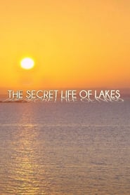 Secret Life of Lakes' Poster