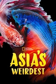 Asias Weirdest' Poster