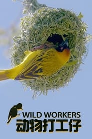 Wild Workers' Poster