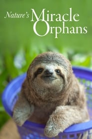 Natures Miracle Orphans' Poster