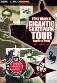 Tony Hawks Gigantic Skatepark Tour' Poster