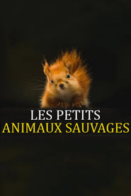 Les petits animaux sauvages' Poster