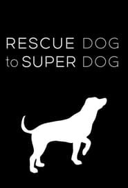 Rescue Dog to Super Dog' Poster