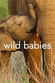 Wild Babies Poster