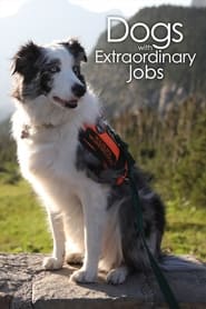 Dogs with Extraordinary Jobs' Poster