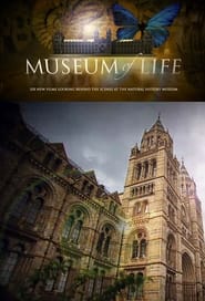 Museum of Life' Poster