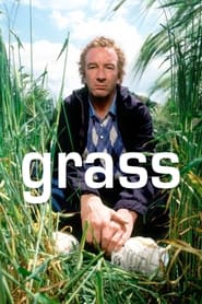 Grass' Poster