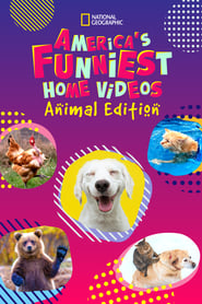 Americas Funniest Videos Animal Edition' Poster