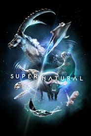 SuperNatural' Poster