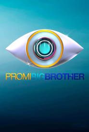 Promi Big Brother' Poster