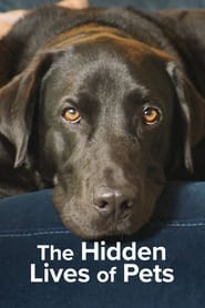 The Hidden Lives of Pets Poster