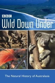 Wild Down Under' Poster
