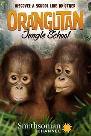 Orangutan Jungle School' Poster