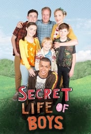 Secret Life of Boys' Poster