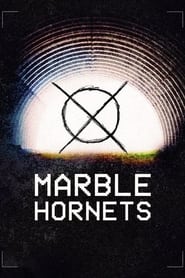 Marble Hornets' Poster