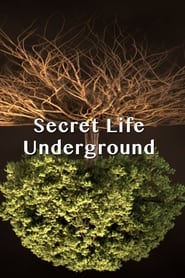 Streaming sources forSecret Life Underground