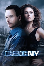 CSI NY' Poster