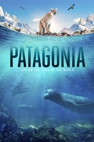 Patagonia' Poster