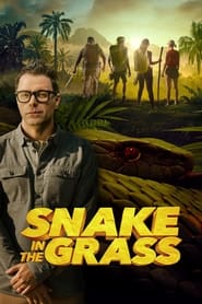 Snake in the Grass' Poster