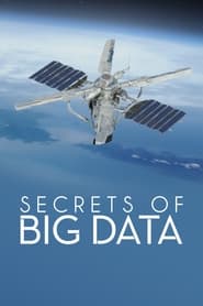 Secrets of Big Data' Poster