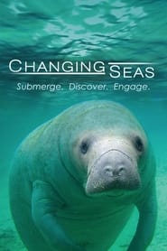 Changing Seas' Poster