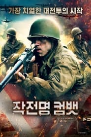 Combat Report' Poster