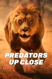 Predators Up Close with Joel Lambert' Poster