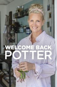 Welcome Back Potter' Poster