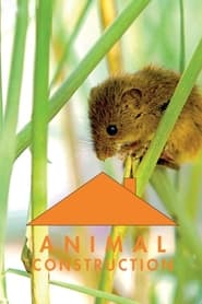Constructions animales' Poster